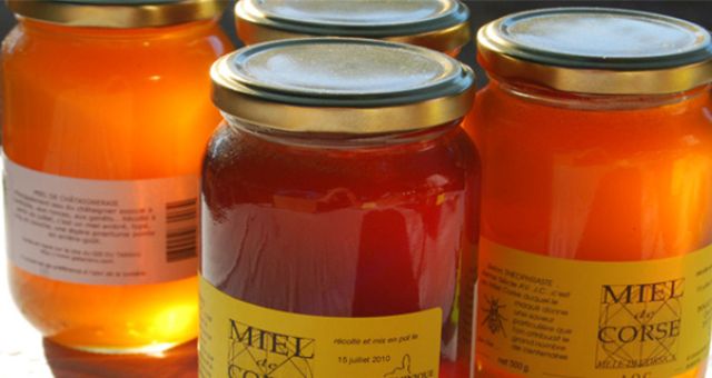 Les producteurs de Balagne