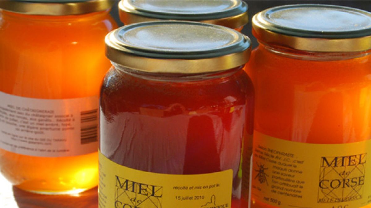 Les producteurs de Balagne